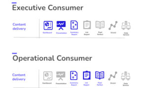 AgileData Persona Template - Content Delivery - Executive Comparison